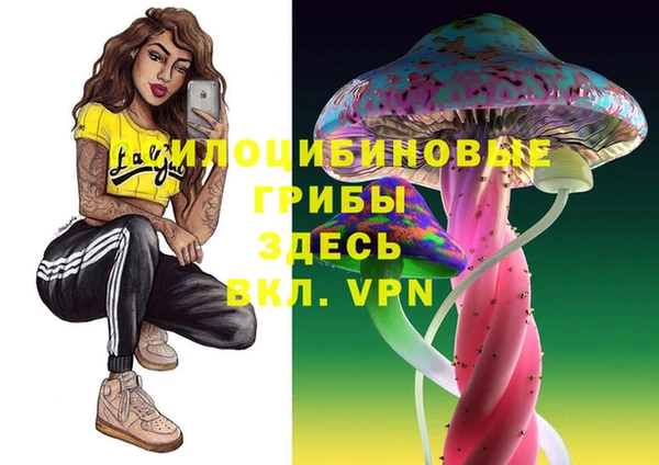 соль ск Алексеевка