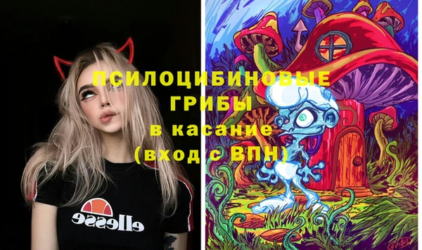 прущие грибы Абдулино