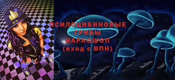 мдпв Абинск