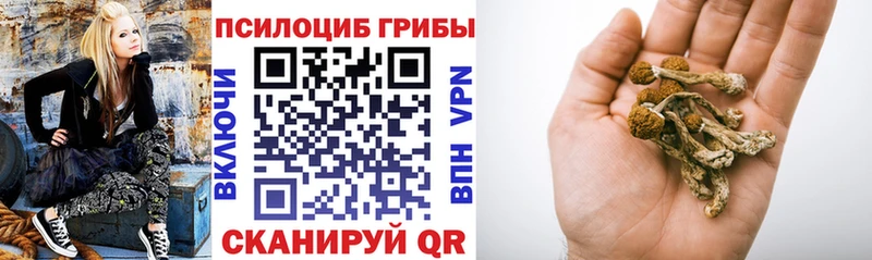 Псилоцибиновые грибы прущие грибы Полтавская